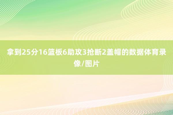 拿到25分16篮板6助攻3抢断2盖帽的数据体育录像/图片