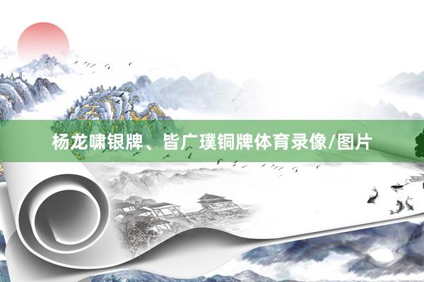 杨龙啸银牌、皆广璞铜牌体育录像/图片