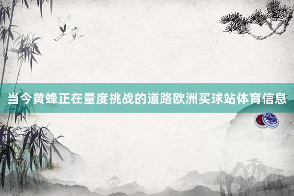 当今黄蜂正在量度挑战的道路欧洲买球站体育信息