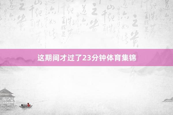 这期间才过了23分钟体育集锦