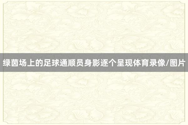 绿茵场上的足球通顺员身影逐个呈现体育录像/图片