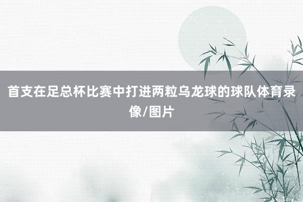 首支在足总杯比赛中打进两粒乌龙球的球队体育录像/图片