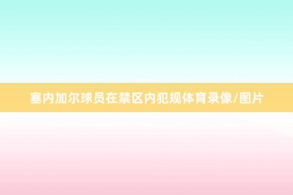 塞内加尔球员在禁区内犯规体育录像/图片