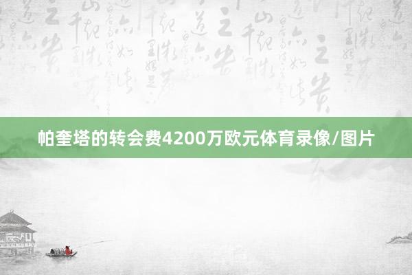 帕奎塔的转会费4200万欧元体育录像/图片