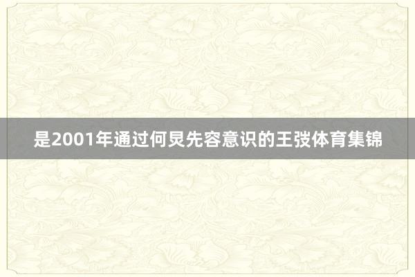 是2001年通过何炅先容意识的王弢体育集锦