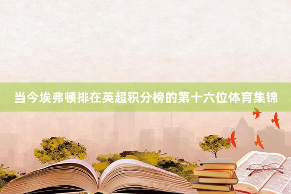 当今埃弗顿排在英超积分榜的第十六位体育集锦