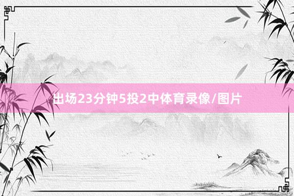 出场23分钟5投2中体育录像/图片