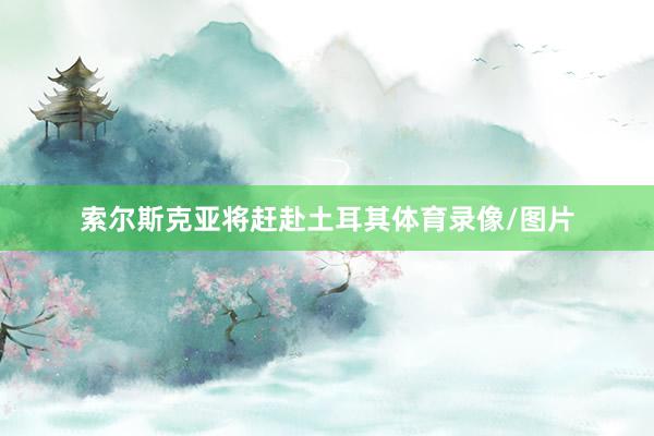 索尔斯克亚将赶赴土耳其体育录像/图片