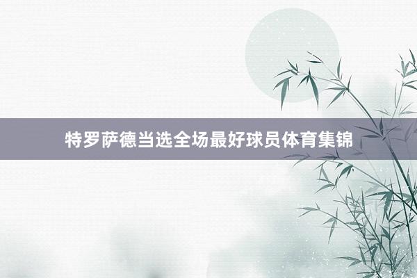 特罗萨德当选全场最好球员体育集锦
