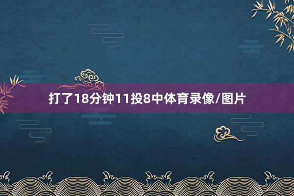 打了18分钟11投8中体育录像/图片