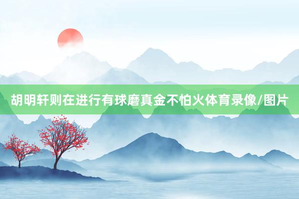胡明轩则在进行有球磨真金不怕火体育录像/图片