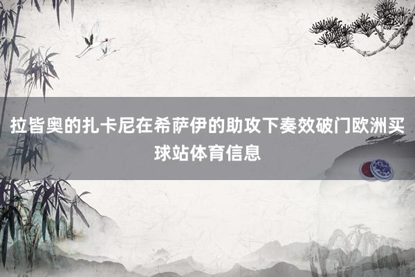 拉皆奥的扎卡尼在希萨伊的助攻下奏效破门欧洲买球站体育信息