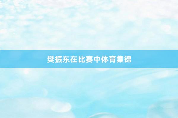 樊振东在比赛中体育集锦