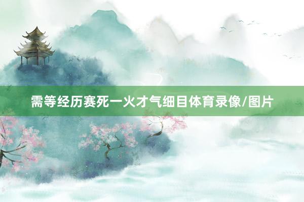 需等经历赛死一火才气细目体育录像/图片