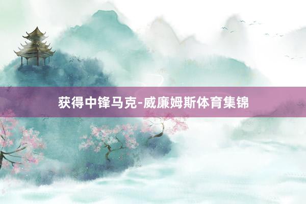 获得中锋马克-威廉姆斯体育集锦