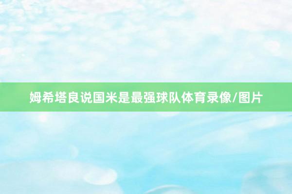 姆希塔良说国米是最强球队体育录像/图片