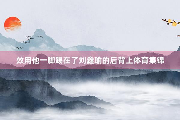效用他一脚踢在了刘鑫瑜的后背上体育集锦