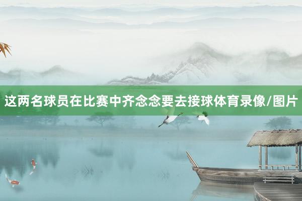 这两名球员在比赛中齐念念要去接球体育录像/图片