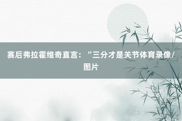 赛后弗拉霍维奇直言：“三分才是关节体育录像/图片