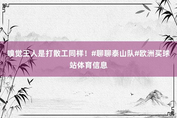 嗅觉王人是打散工同样！#聊聊泰山队#欧洲买球站体育信息
