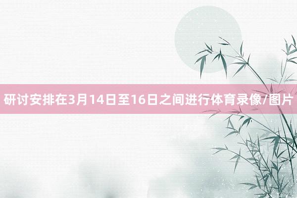 研讨安排在3月14日至16日之间进行体育录像/图片