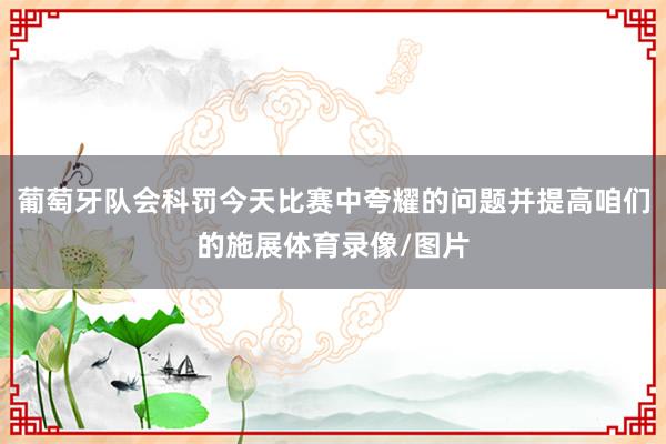 葡萄牙队会科罚今天比赛中夸耀的问题并提高咱们的施展体育录像/图片