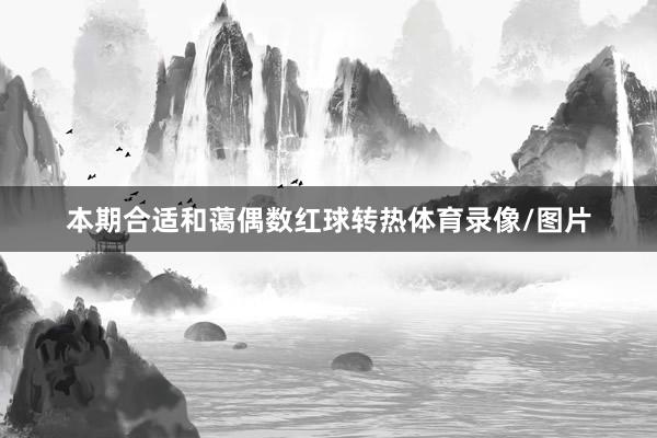 本期合适和蔼偶数红球转热体育录像/图片