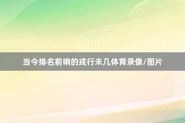 当今排名前哨的戎行未几体育录像/图片