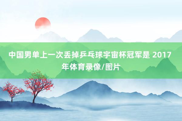 中国男单上一次丢掉乒乓球宇宙杯冠军是 2017 年体育录像/图片