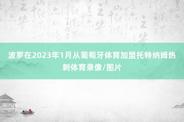 波罗在2023年1月从葡萄牙体育加盟托特纳姆热刺体育录像/图片