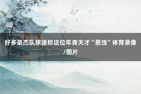 好多豪杰队球迷称这位年青天才“恶浊”体育录像/图片