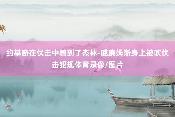 约基奇在伏击中骑到了杰林-威廉姆斯身上被吹伏击犯规体育录像/图片