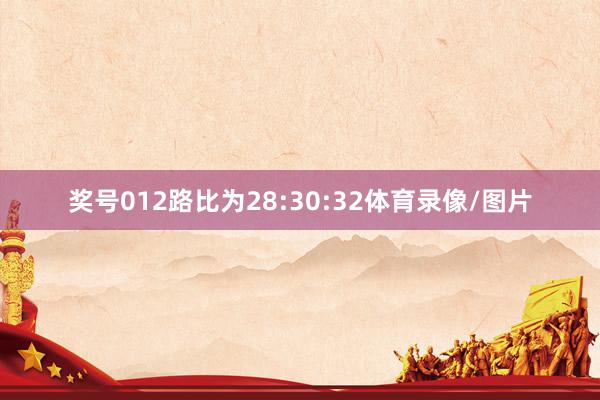 奖号012路比为28:30:32体育录像/图片