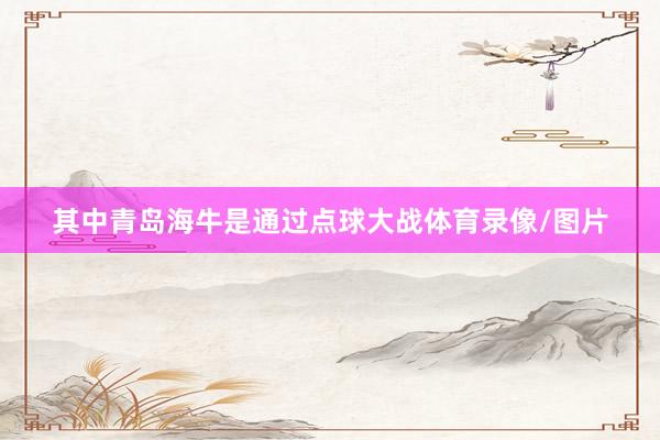 其中青岛海牛是通过点球大战体育录像/图片