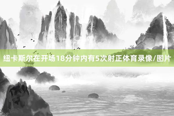 纽卡斯尔在开场18分钟内有5次射正体育录像/图片
