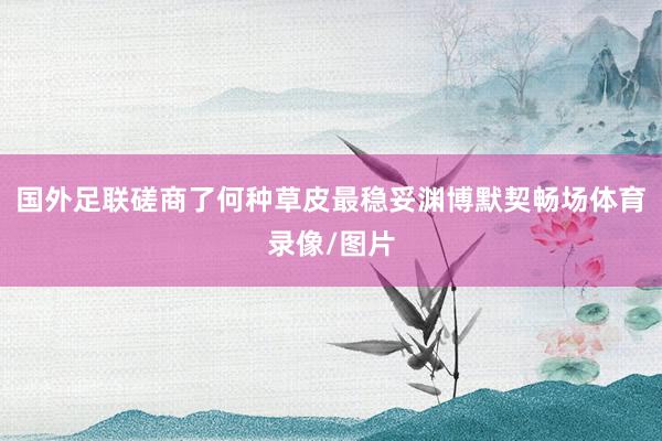 国外足联磋商了何种草皮最稳妥渊博默契畅场体育录像/图片