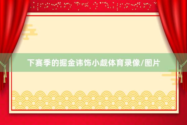 下赛季的掘金讳饰小觑体育录像/图片