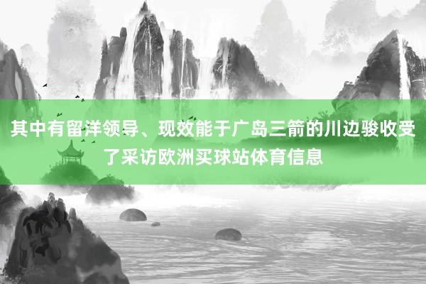 其中有留洋领导、现效能于广岛三箭的川边骏收受了采访欧洲买球站体育信息