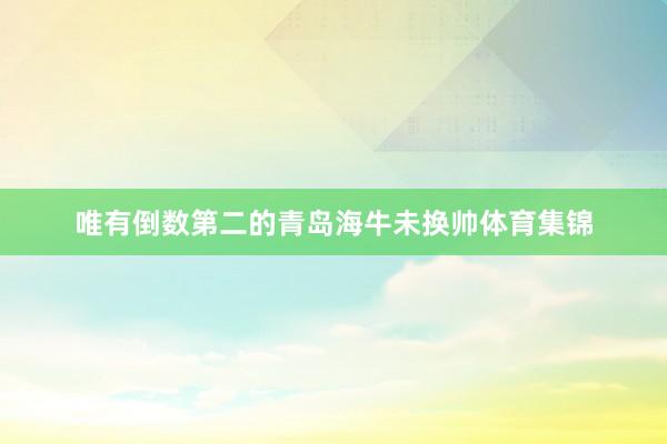 唯有倒数第二的青岛海牛未换帅体育集锦