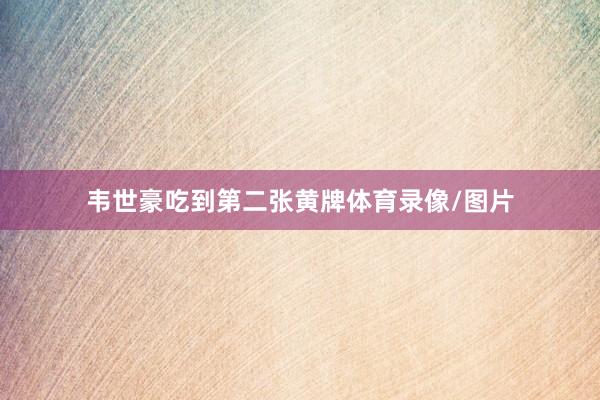 韦世豪吃到第二张黄牌体育录像/图片