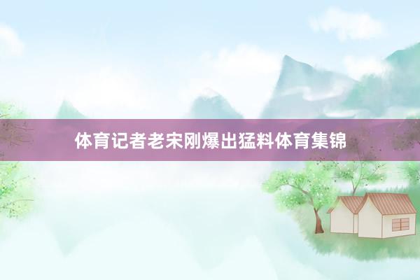 体育记者老宋刚爆出猛料体育集锦