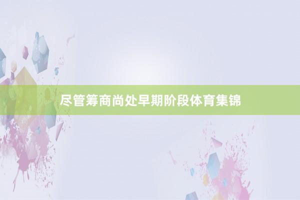 尽管筹商尚处早期阶段体育集锦