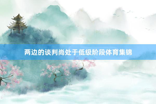 两边的谈判尚处于低级阶段体育集锦