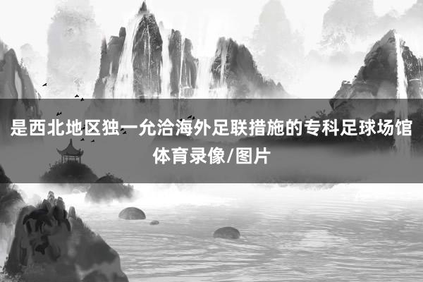 是西北地区独一允洽海外足联措施的专科足球场馆体育录像/图片