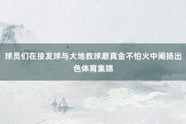球员们在接发球与大地救球磨真金不怕火中阐扬出色体育集锦