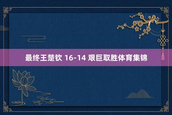 最终王楚钦 16-14 艰巨取胜体育集锦