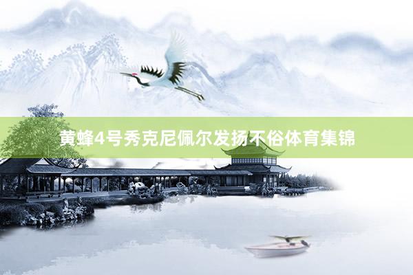 黄蜂4号秀克尼佩尔发扬不俗体育集锦