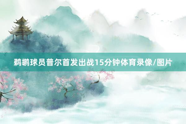鹈鹕球员普尔首发出战15分钟体育录像/图片