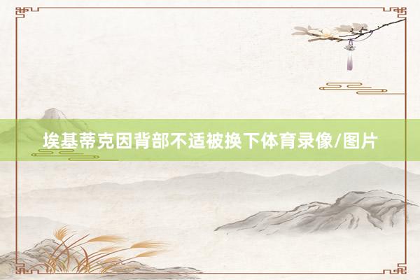 埃基蒂克因背部不适被换下体育录像/图片