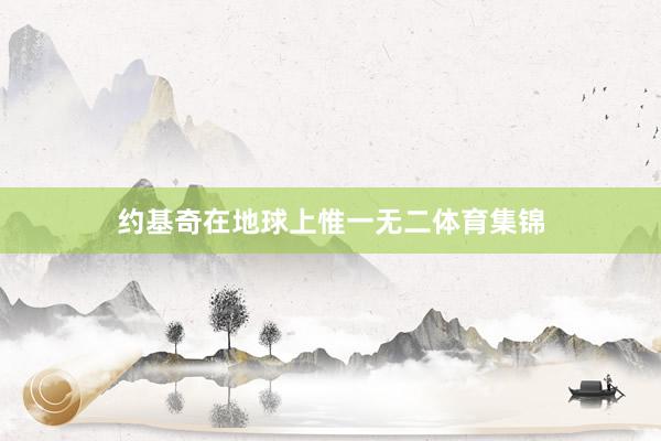 约基奇在地球上惟一无二体育集锦